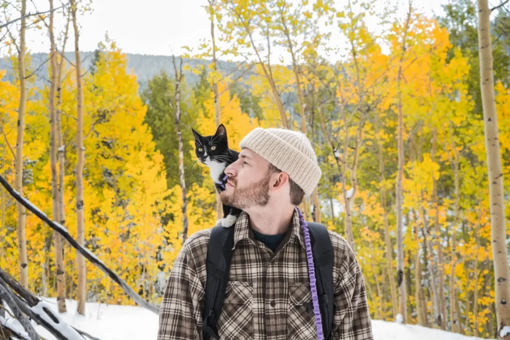 Man and cat in nature