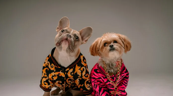 Best Social Media Memes Best Hot in Social Media Memes